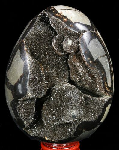 Septarian Dragon Egg Geode - Black Crystals #57424